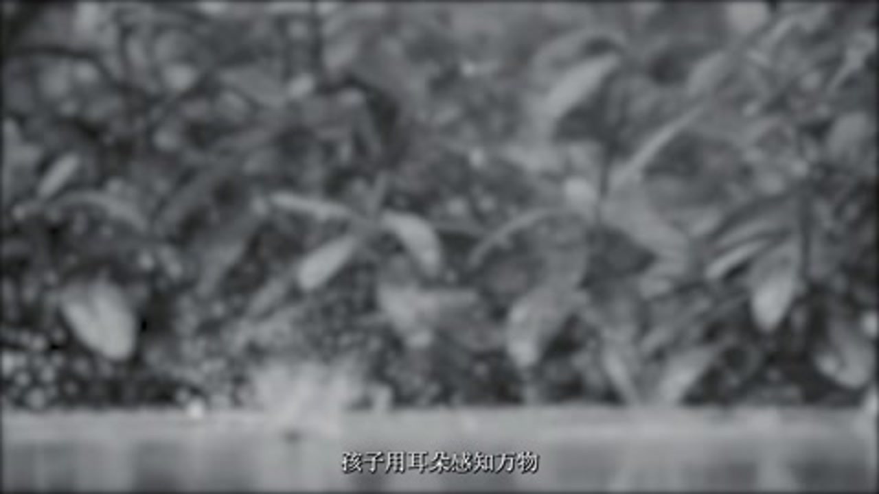 民生银行宣传片