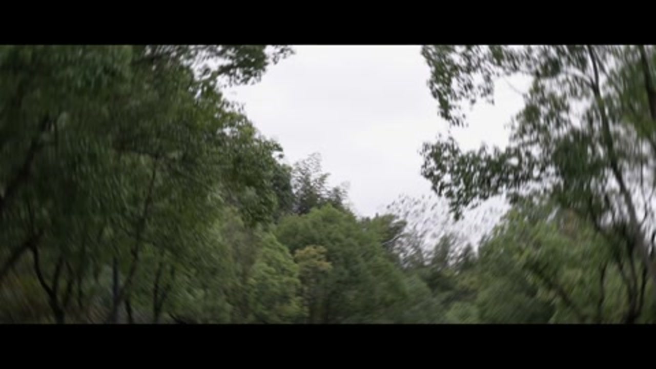 video(22).mp4