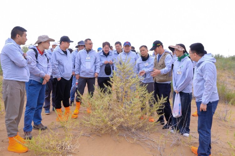 宁夏银川｜企业公益植树团建纪实，户外全场景影像一站式定制服务